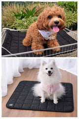 KÖPEK MATI