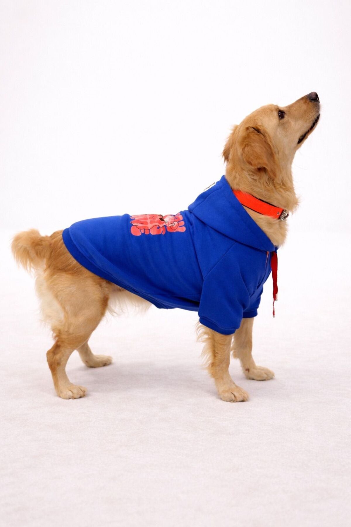 PAWSY BIG SWEATSHIRT