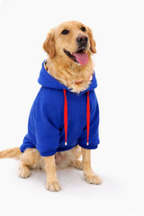 PAWSY BIG SWEATSHIRT