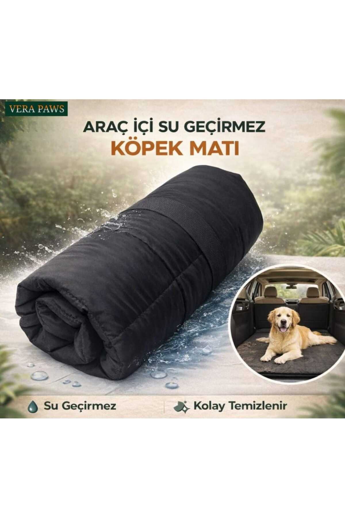KÖPEK MATI