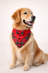 JACK BANDANA