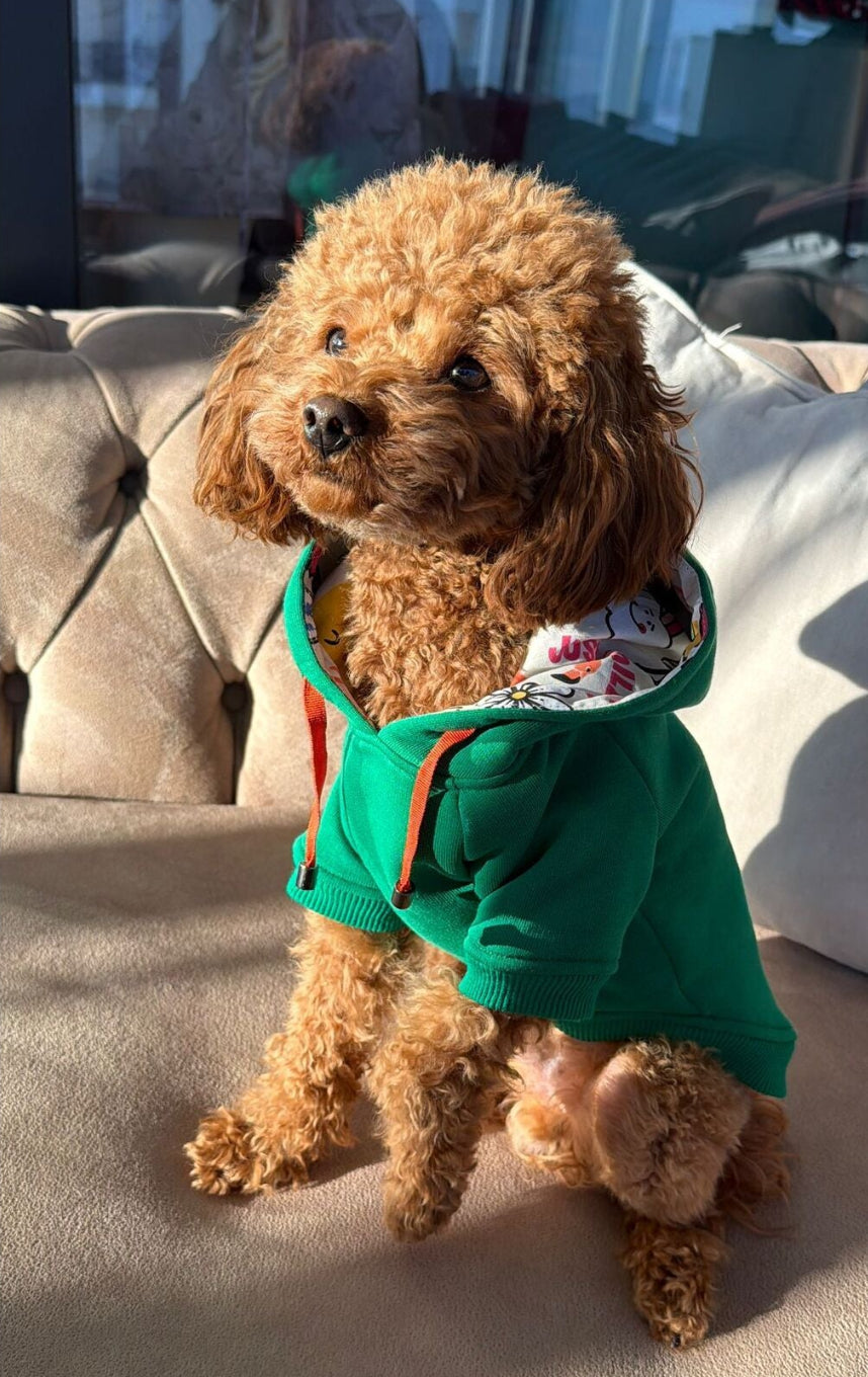 PAWSY SWEATSHIRT