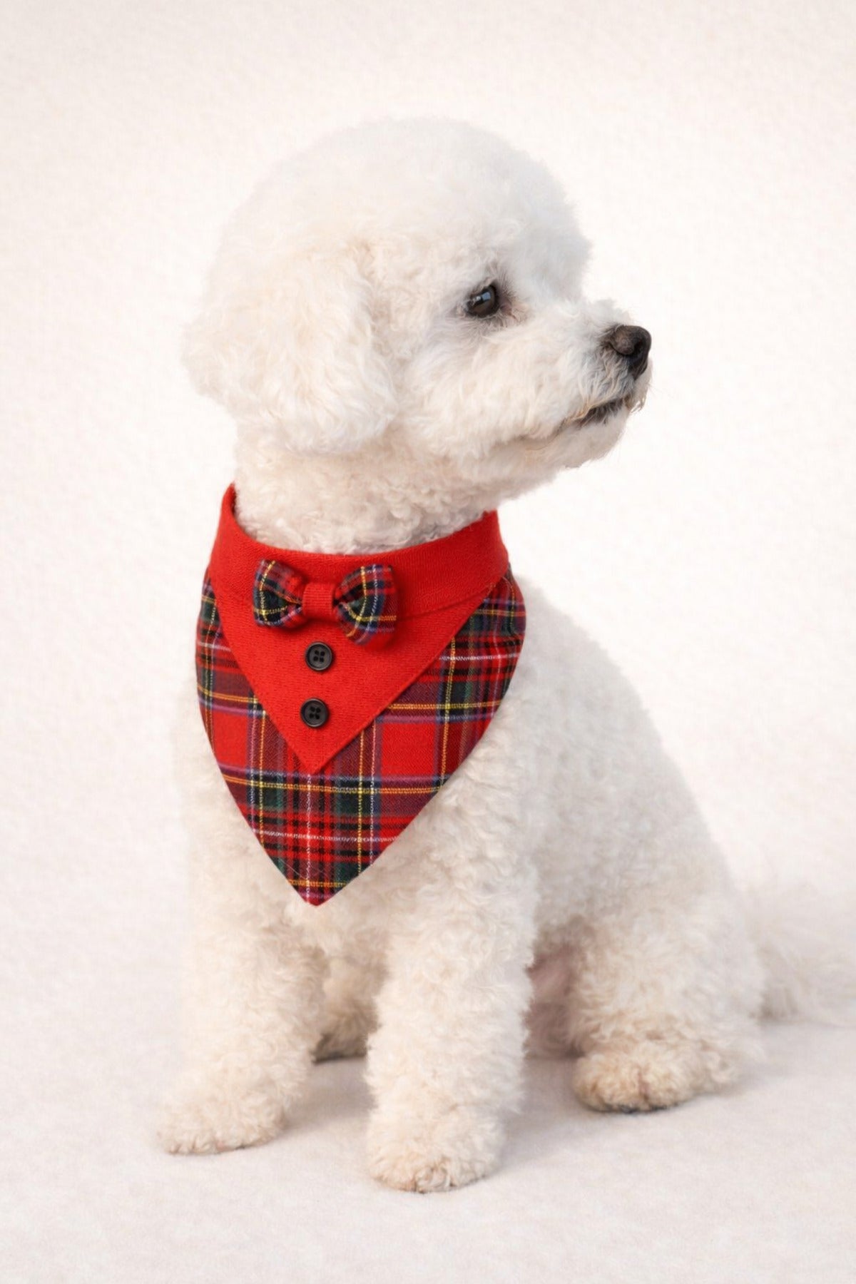 JACK BANDANA