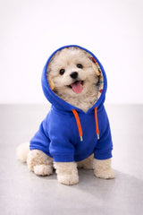 PAWSY SWEATSHIRT