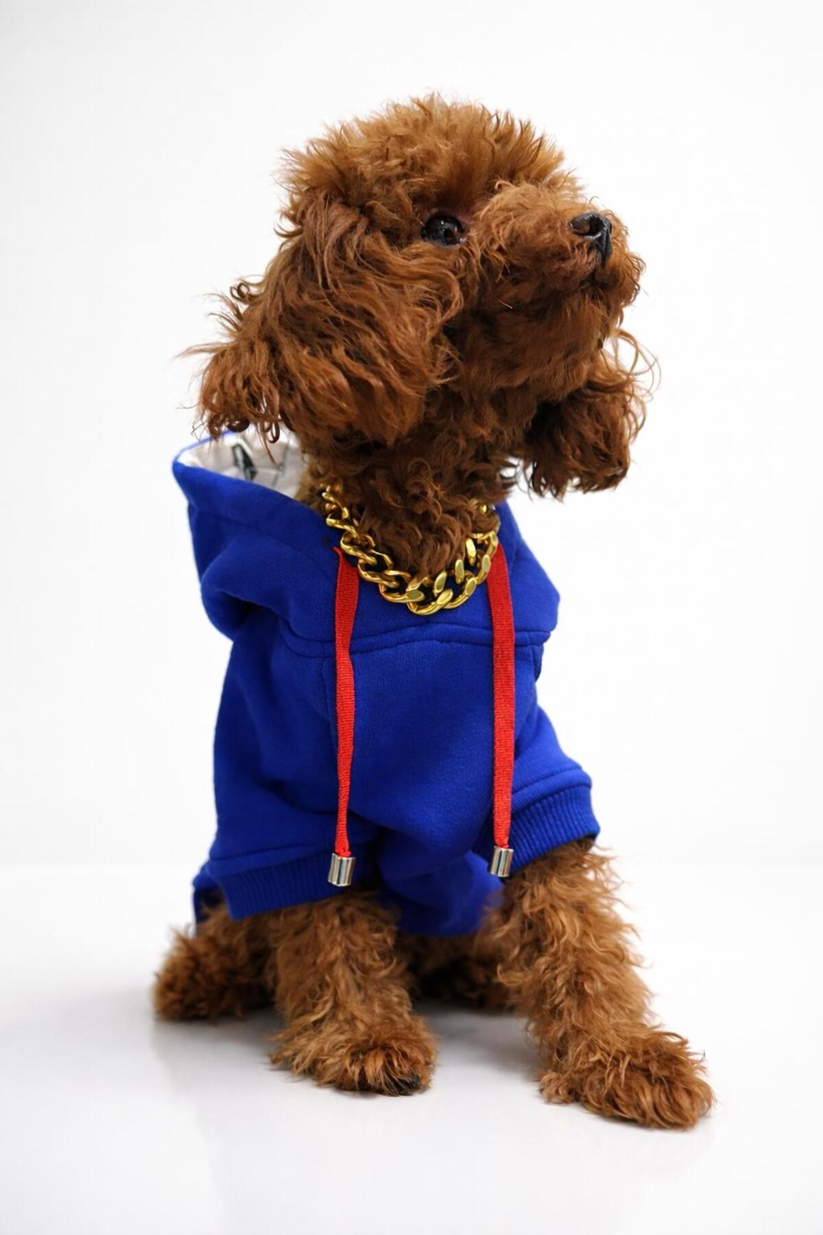 PAWSY SWEATSHIRT