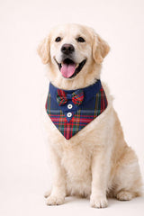 JACK BANDANA
