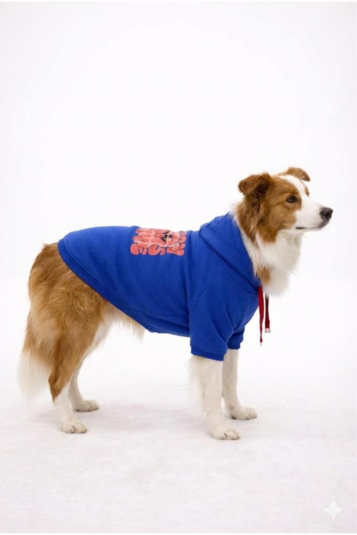 PAWSY BIG SWEATSHIRT