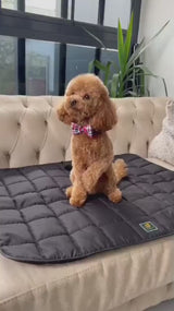 KÖPEK MATI
